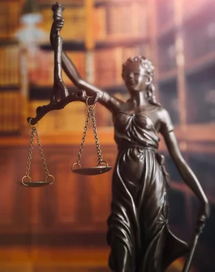 Justice Lady